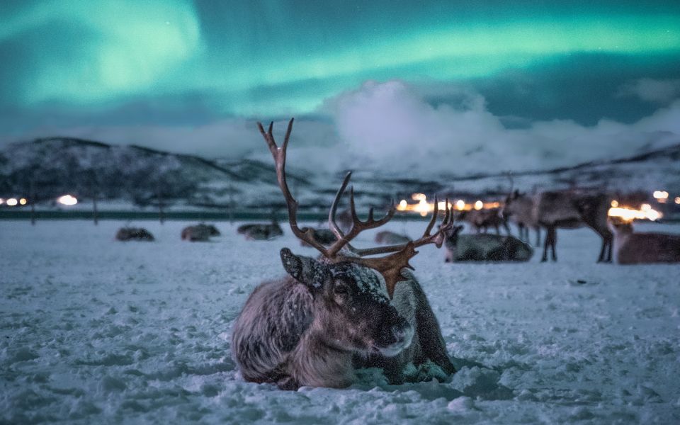 Myths and Legends of the northern lights